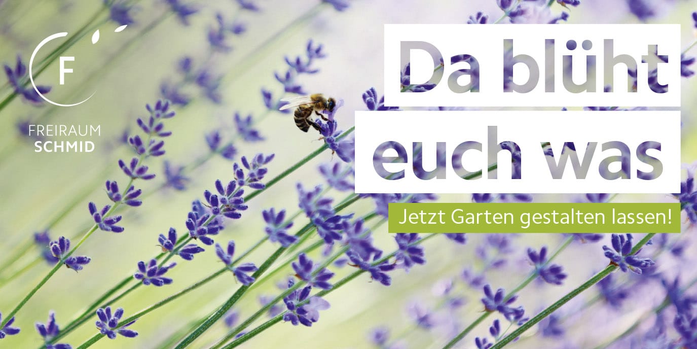 Freiraum Schmid Anzeige Werbetafel