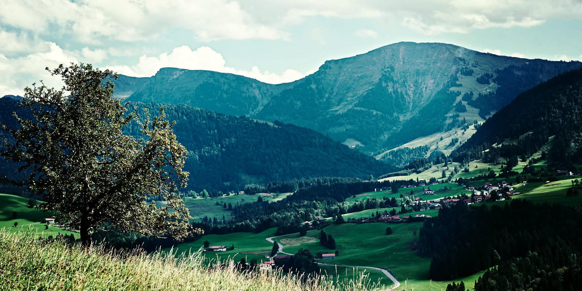 Oberstaufen Tourismus Hochgrat Panorama